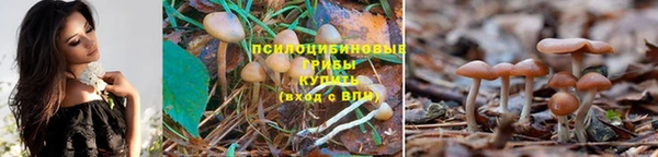 прущие крисы Балабаново