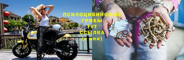 прущие крисы Балабаново